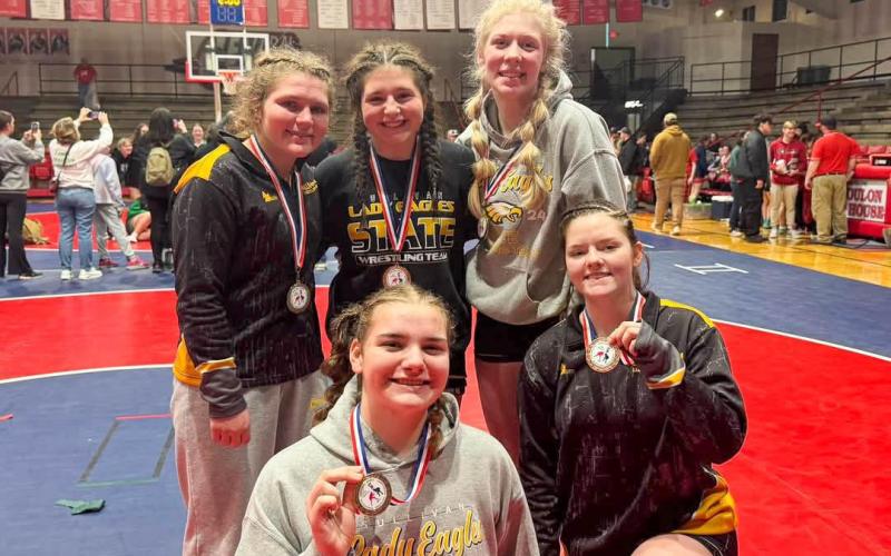 NEXT UP, ST. CLAIR! Sullivan had five medalists who brought home hardware from Central (Park Hills) High School. In the back row, pictured from left to right, Dorie Richardson took silver, Chloe Carson received bronze and Ruby Daily struck gold. The front row contains class champion Abigail Erfurth and third-place finisher Katie Summers. Photo via Sullivan Lady Eagles Wrestling Facebook Article Image Alt Text