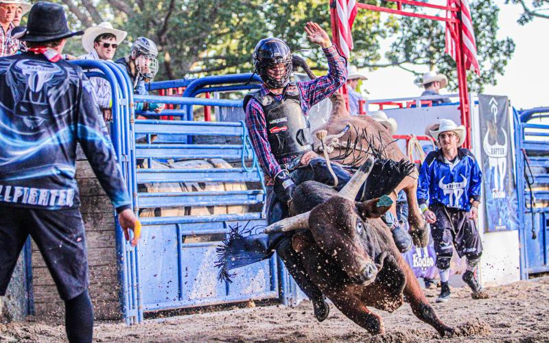 CARPE DIEM. The bull riders seized every second they could hold onto in the ring. Photo by Wyatt Hardy Article Image Alt Text
