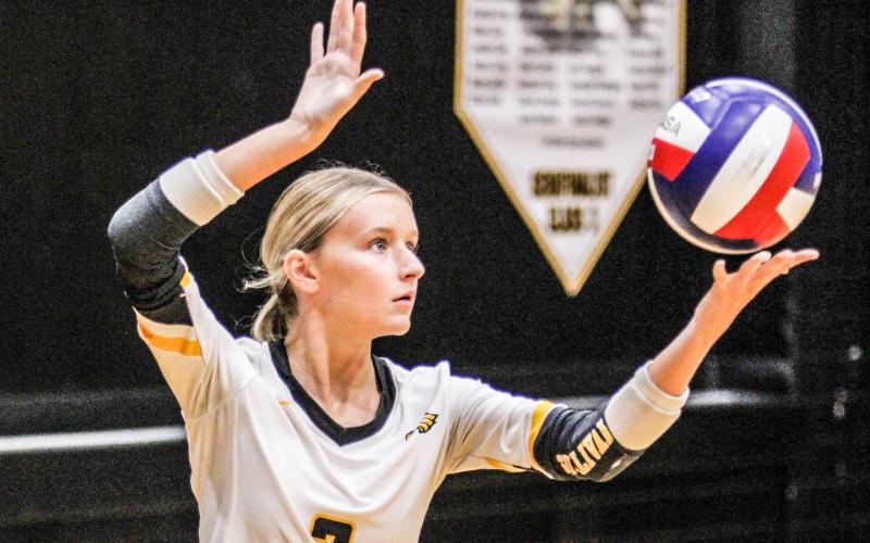 AVA TODD dominated with her serving skills. Photo by Wyatt Hardy Article Image Alt Text