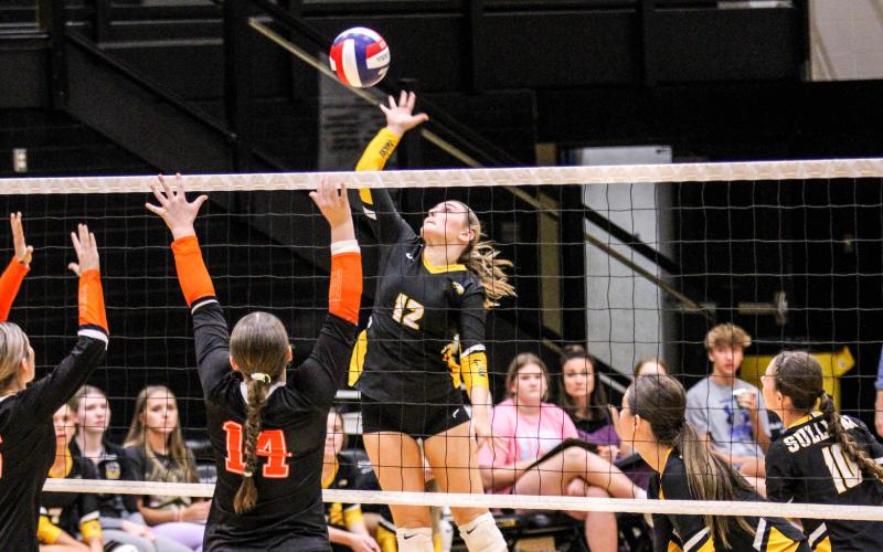 STEVI SALING was on fire against Waynesville. Photo by Wyatt Hardy Article Image Alt Text