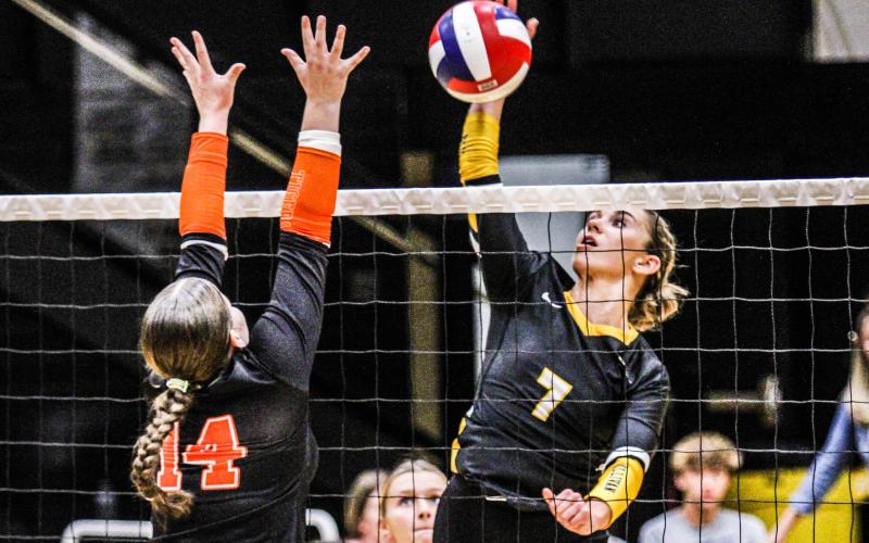 KILLER INSTINCT. Abby Record (7) drilled kills over the net against the Waynesville Tigers. Photo by Wyatt Hardy Article Image Alt Text
