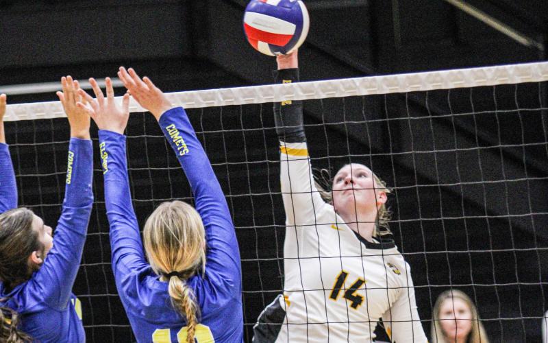 ALLIE BRUNE led the Lady Eagles with three aces. Photo by Wyatt Hardy Article Image Alt Text