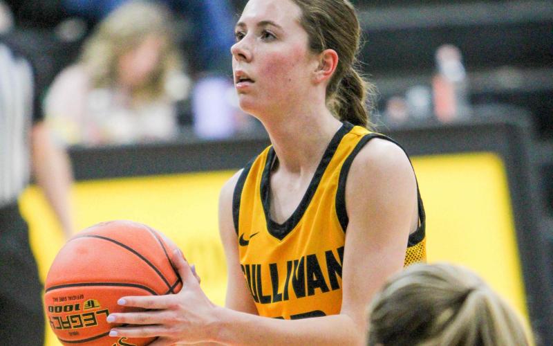 Article Image Alt Text