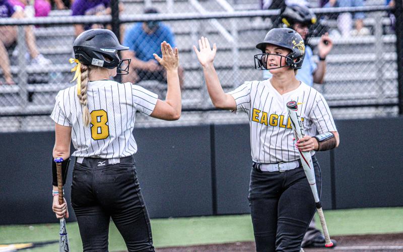 BATTER UP. Rae Corwin (8) high-fives Molly Lohden. Photo by Wyatt Hardy Article Image Alt Text