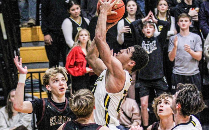 ROBERT YORK II scorched the net for Sullivan. Photo by Wyatt Hardy Article Image Alt Text