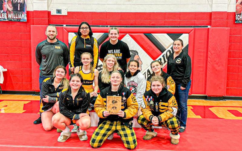 Article Image Alt Text