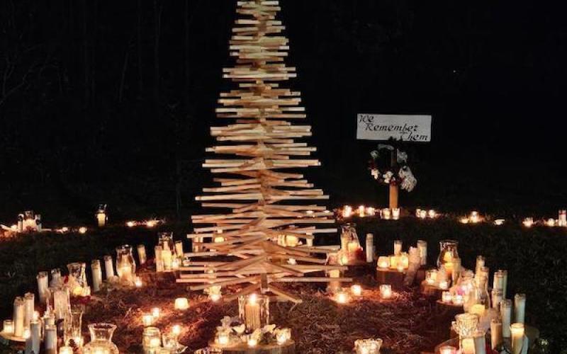 Article Image Alt Text