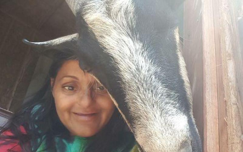 Photo via Goat and Bunny Ranch Pet Therapy Article Image Alt Text
