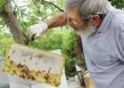Beekeeper Terry Mooney of Versailles, MO, checks a beehive at his home. Mooney took a beginning and an advanced beekeeping class through University of Missouri Extension.Credit: Photo by Linda Geist.